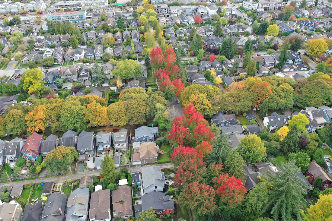 Aerial view of a neighborhood of homes and autumn trees
