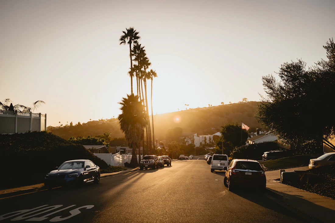 A residential street lined with palm trees at sunset